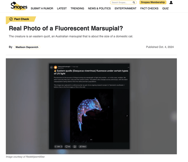 Snopes