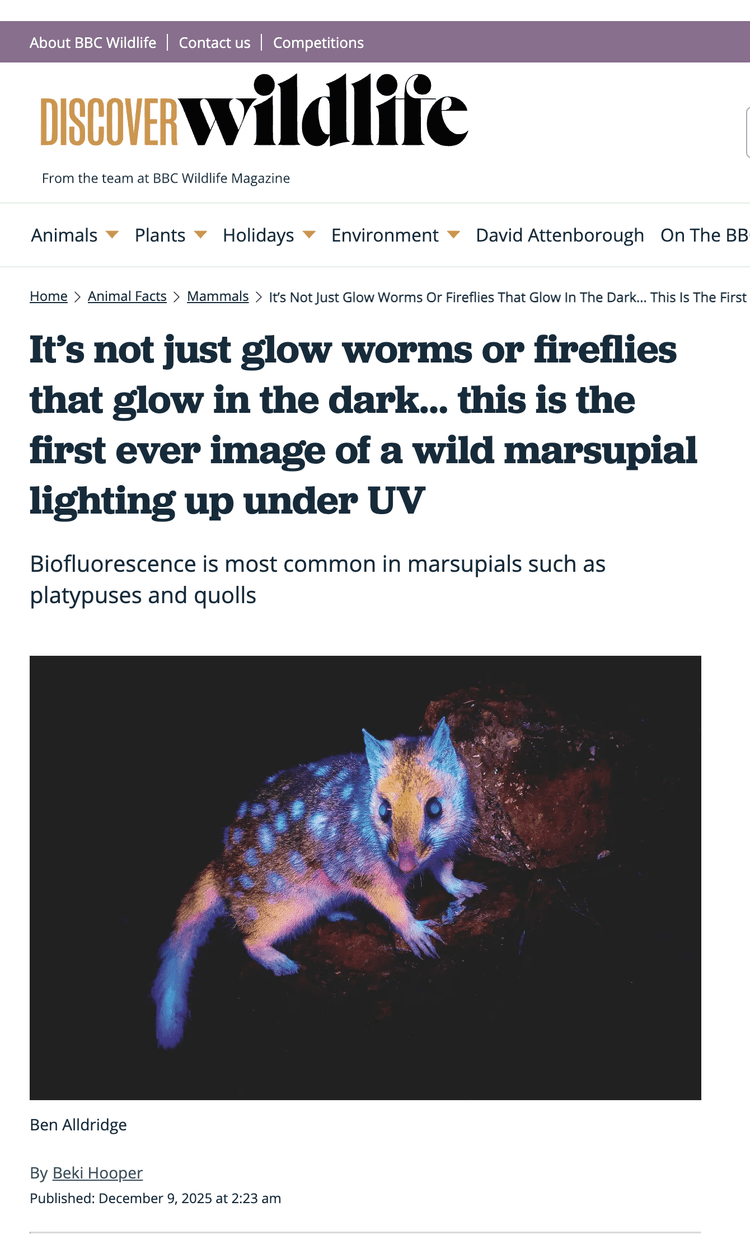 Discover Wildlife (BBC Wildlife Magazine)
