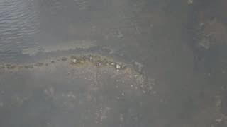 Glovertown Aerial frame 4