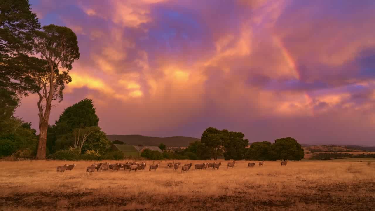 Sunset Storm Timelapse