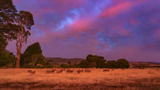 Sunset Storm Timelapse frame 6