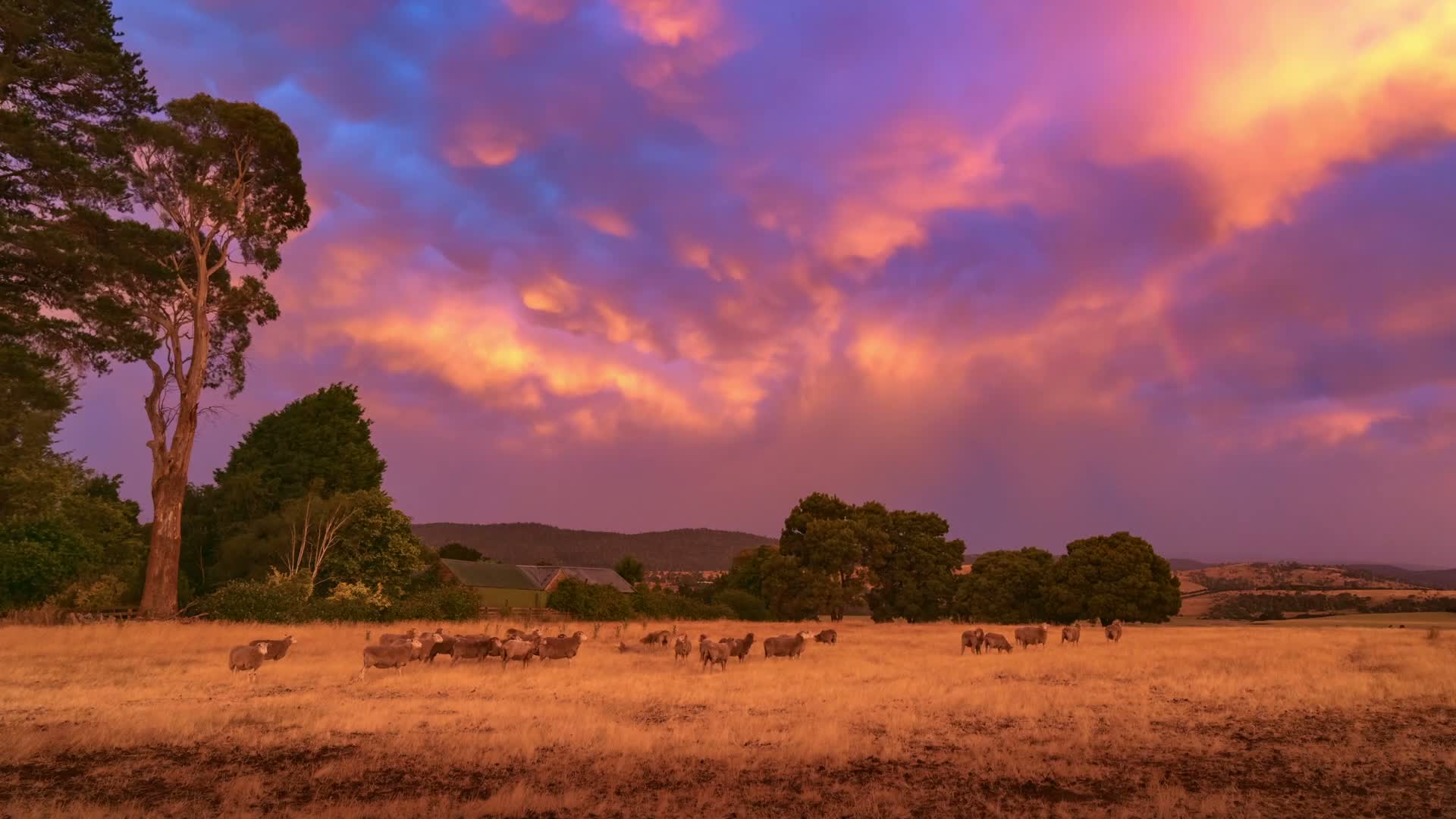 Sunset Storm Timelapse