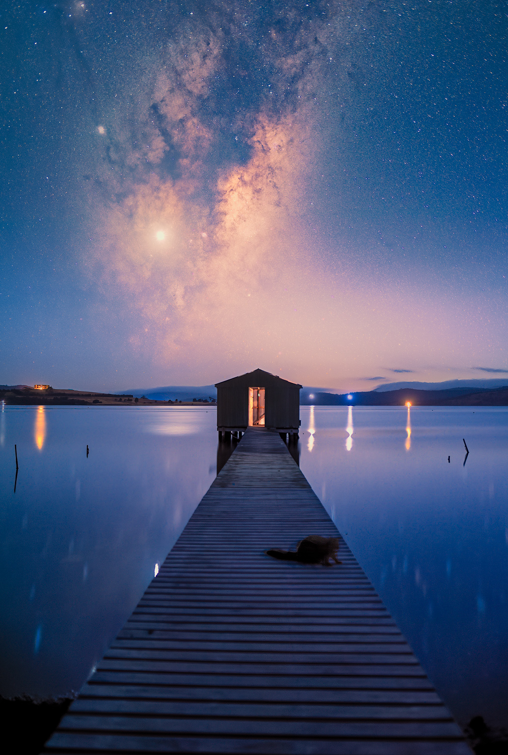 The Visitor