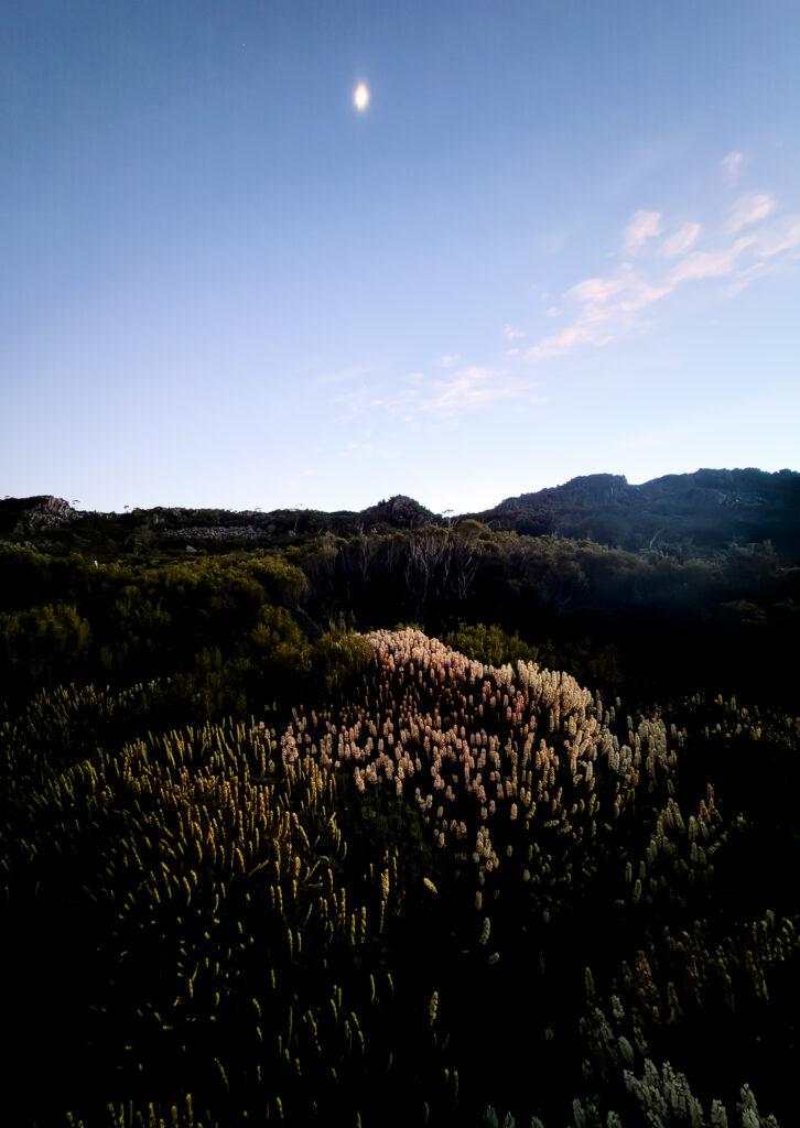 Smartphone Astrophotography