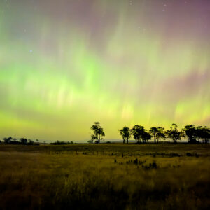 Smartphone Astrophotography (Online)