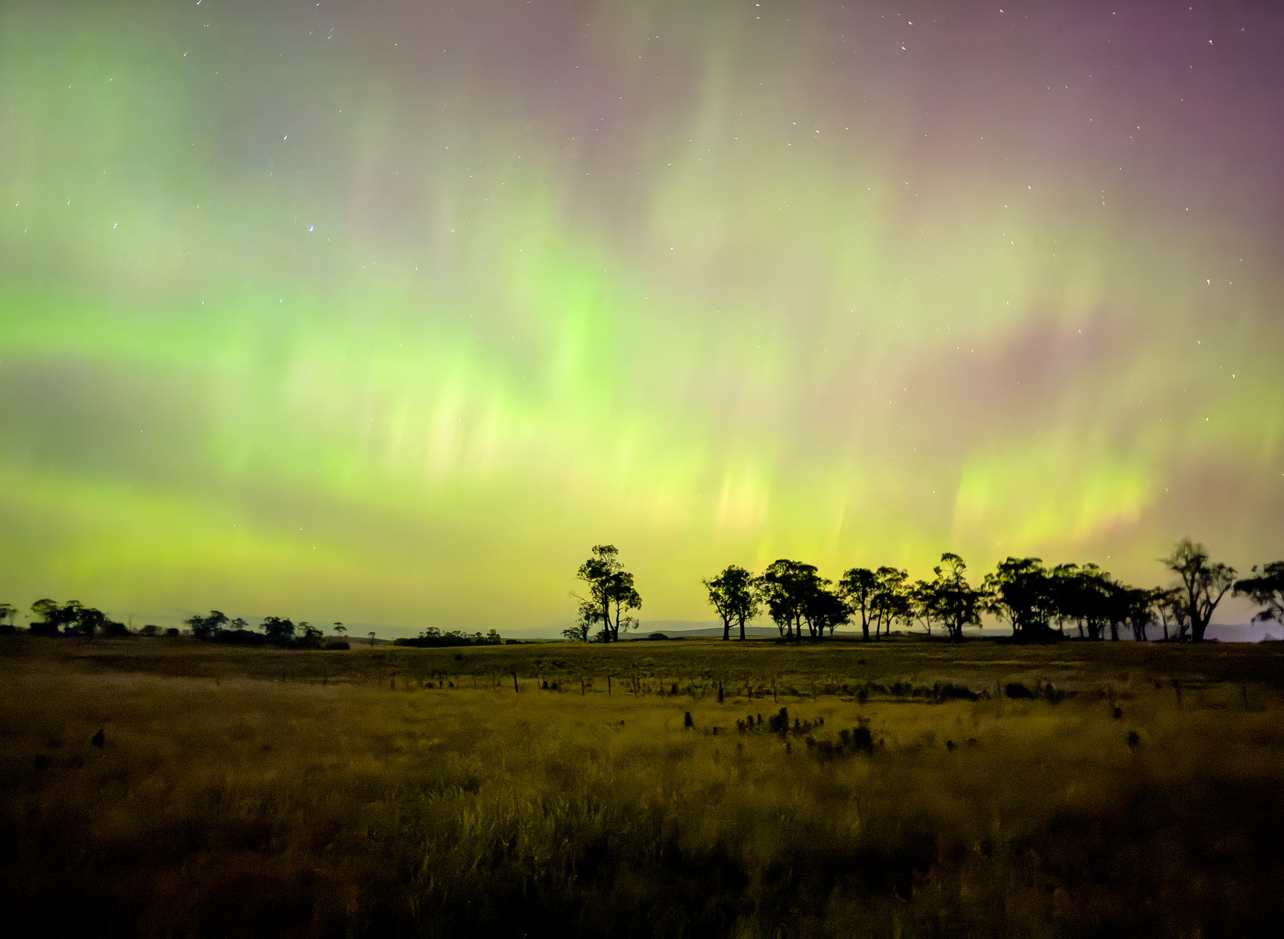 Smartphone Astrophotography (Online)