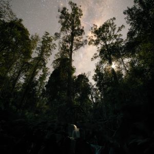 By Moonlight