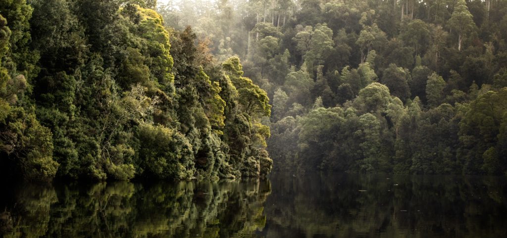 Introduction to Post-Processing (Online)