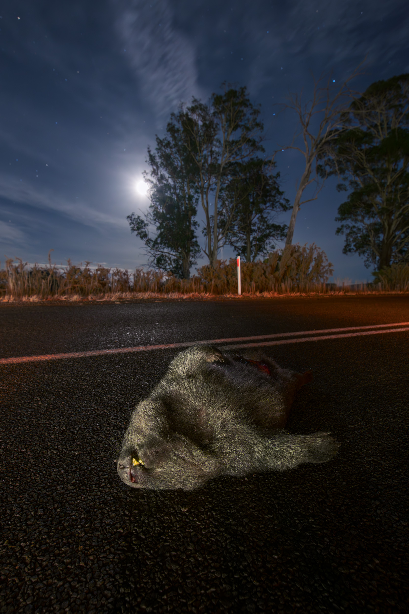 Flat Out
