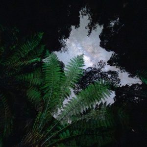 From Below