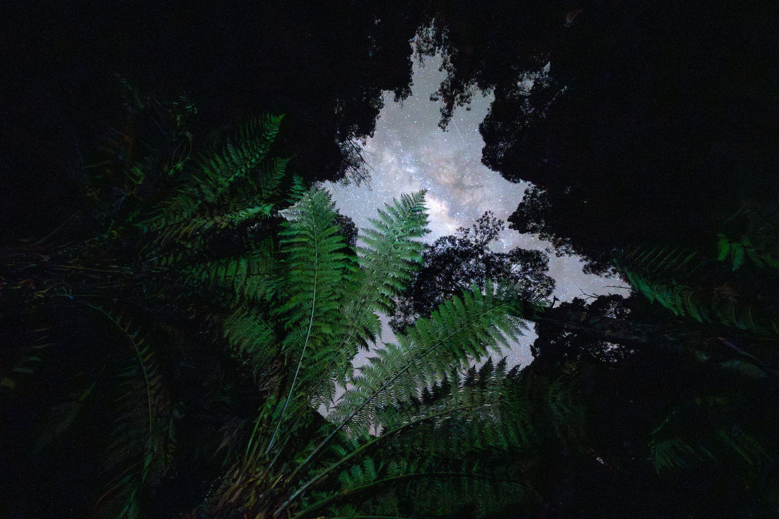 From Below