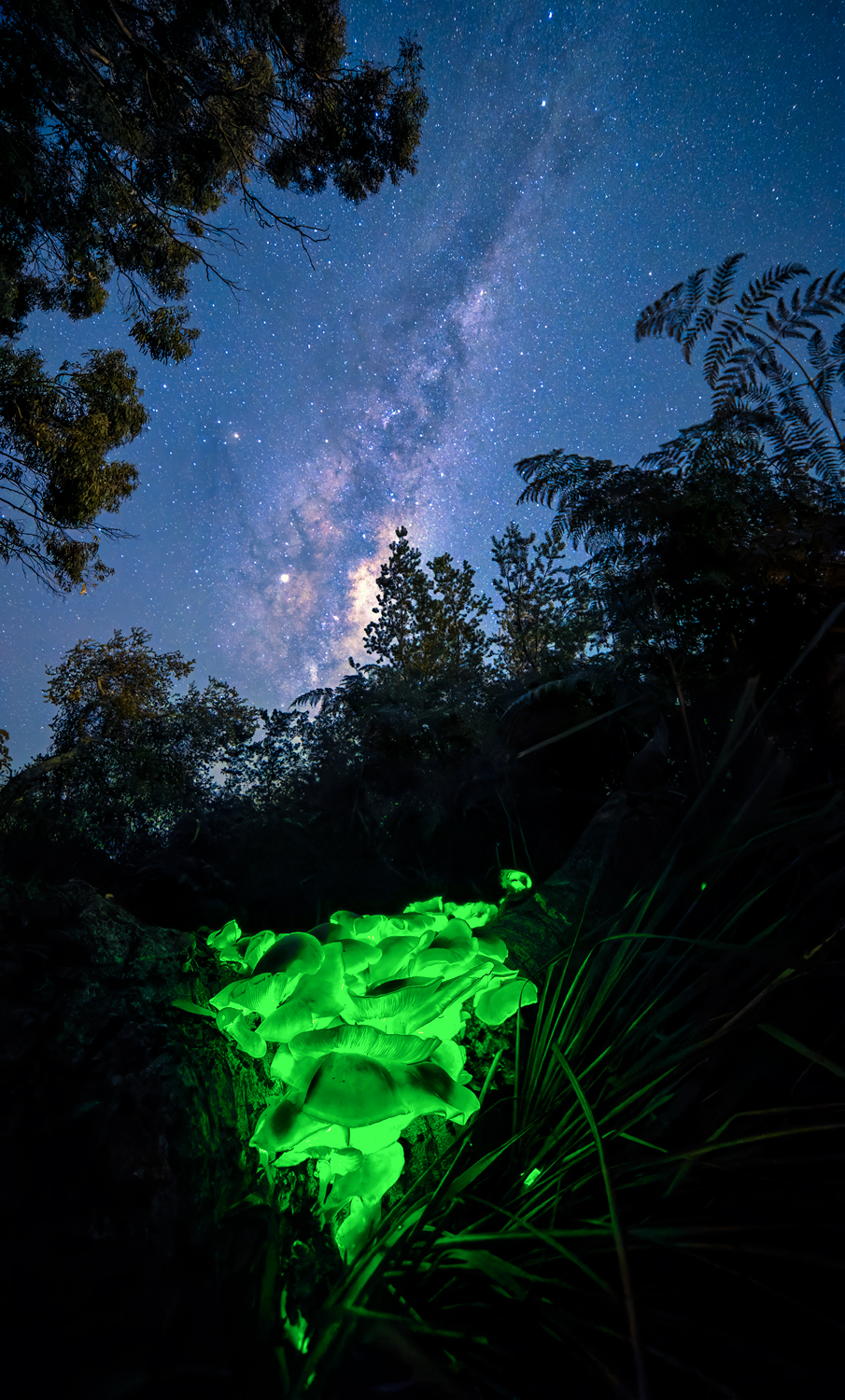 Galactic Ghost