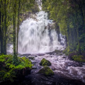 Nelson Falls in Flood