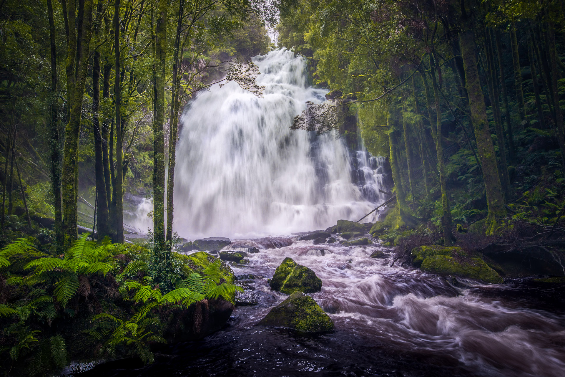 Nelson Falls in Flood