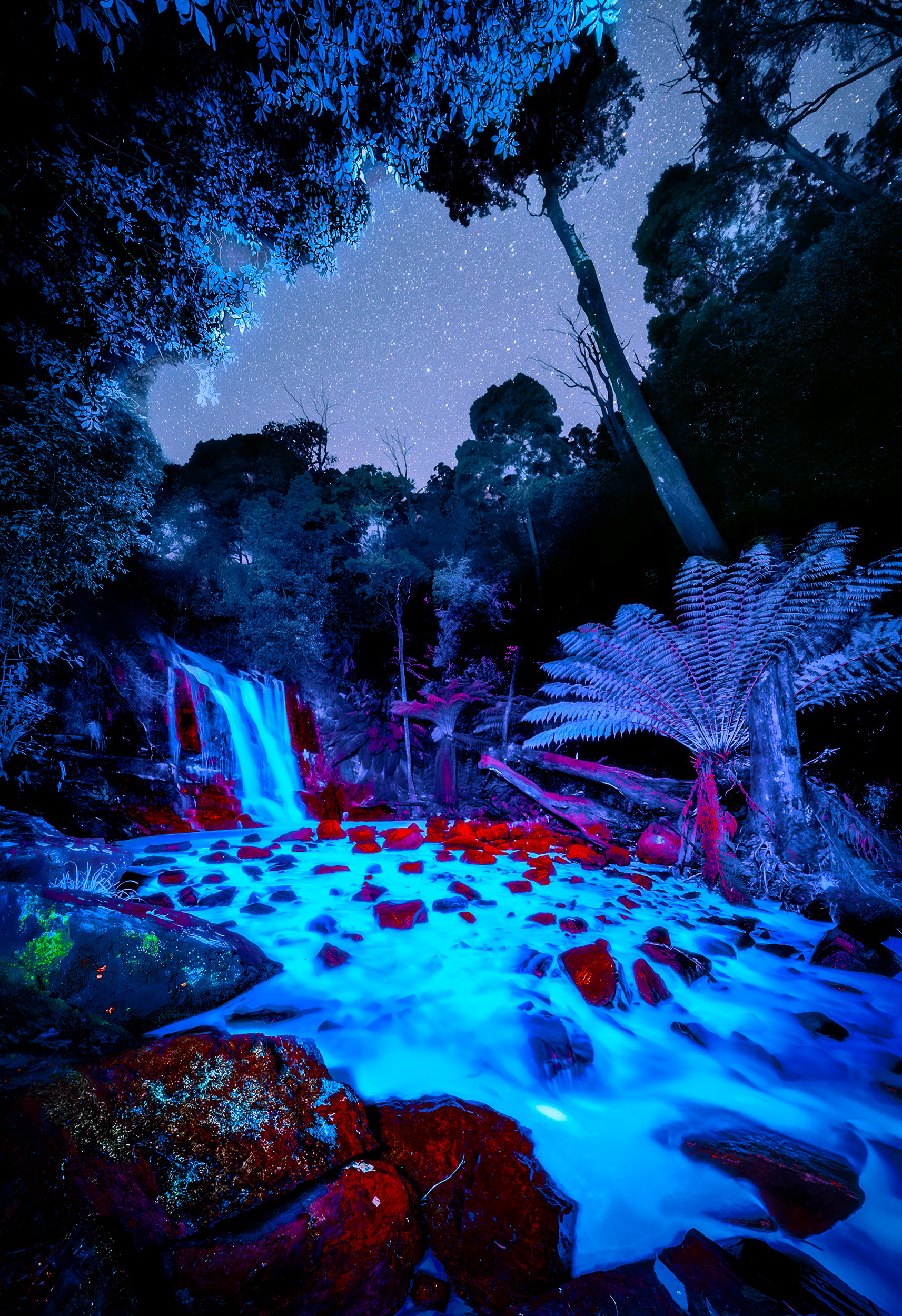 Pandora