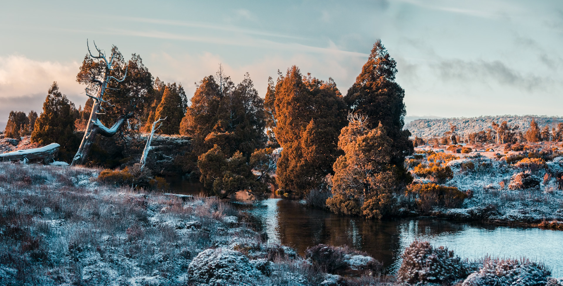 Pine Lake Under Snow