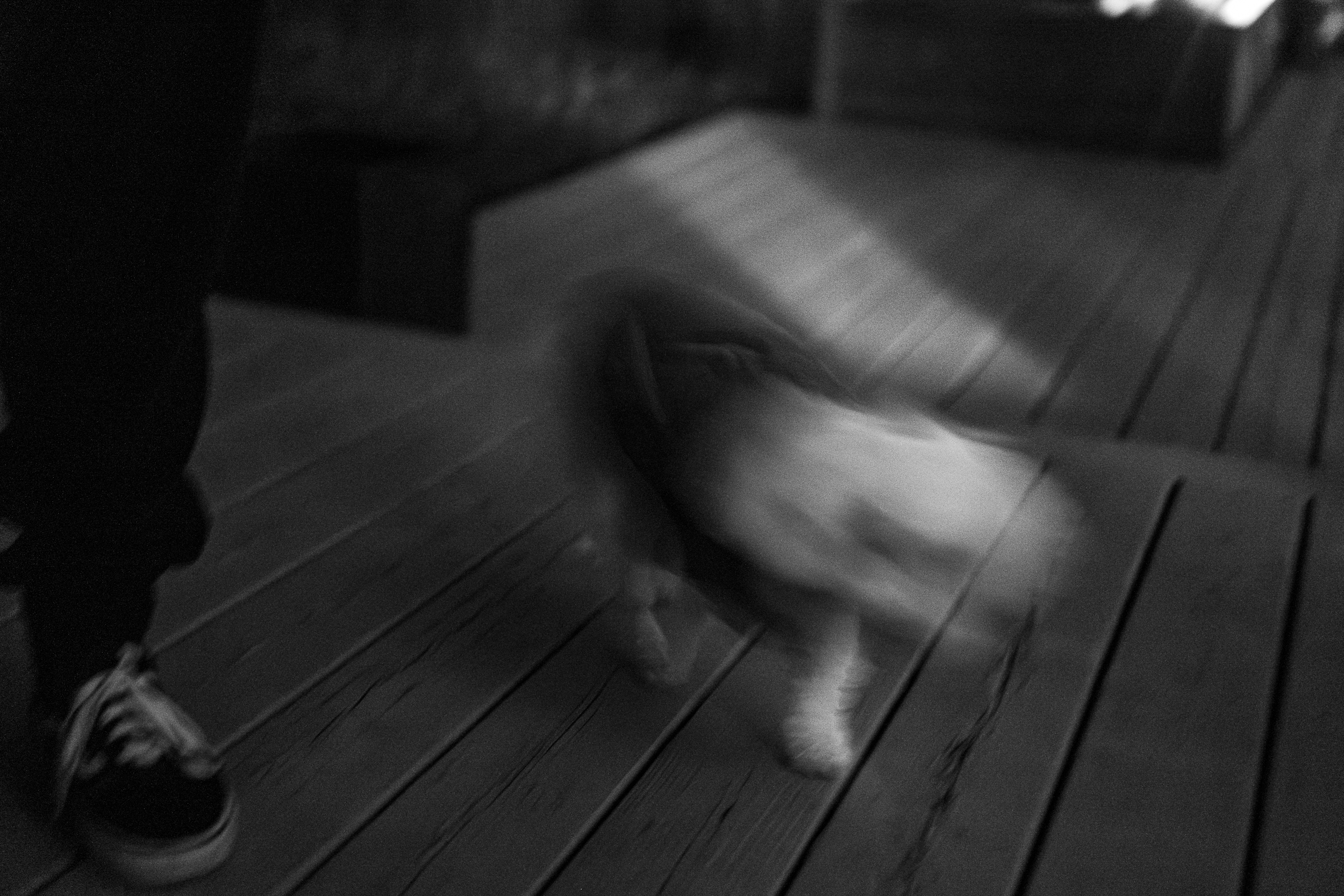The Entity