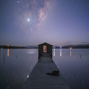 The Visitor