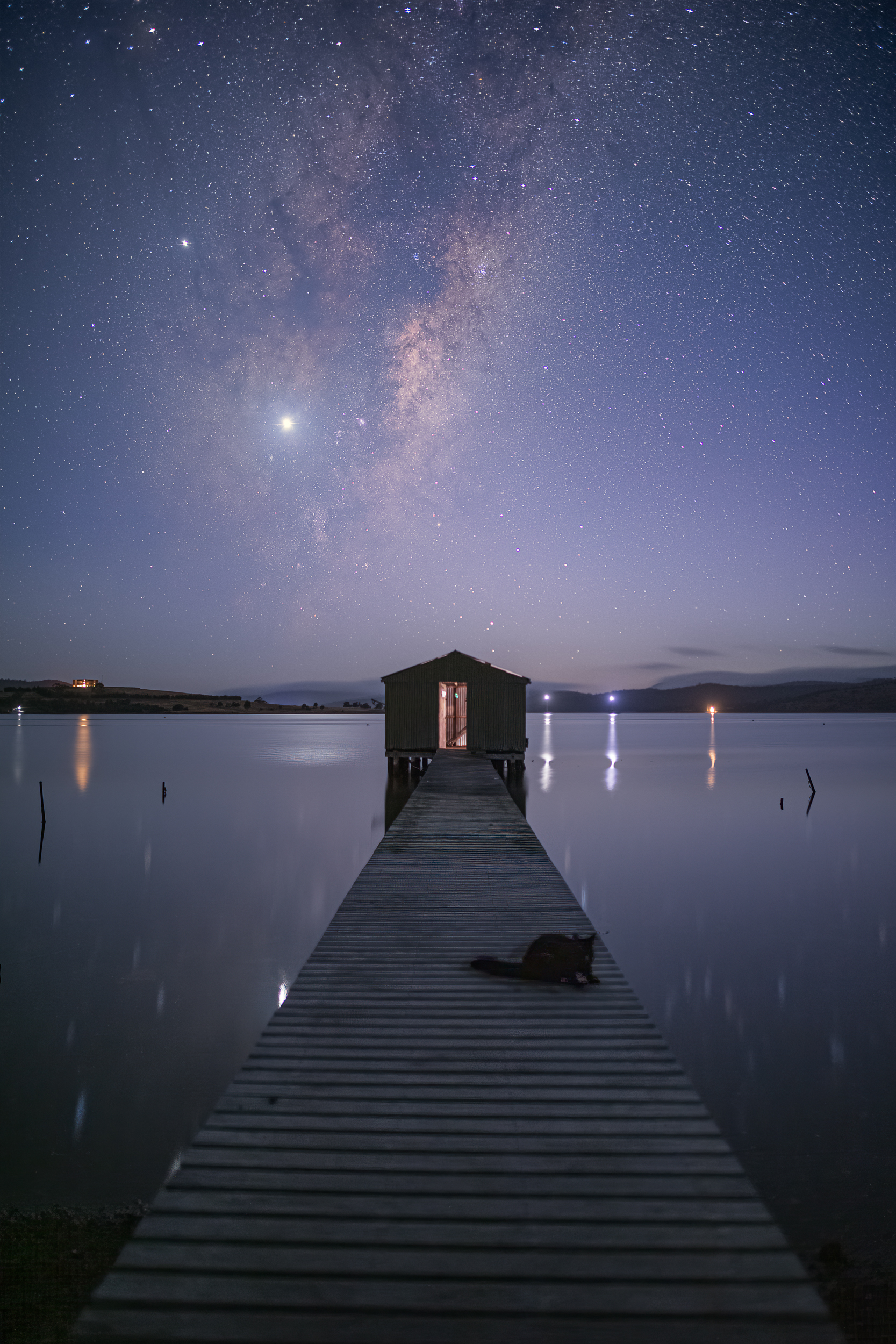 The Visitor