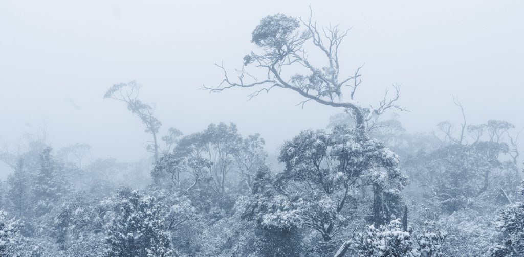 Introduction to Post-Processing (Online)
