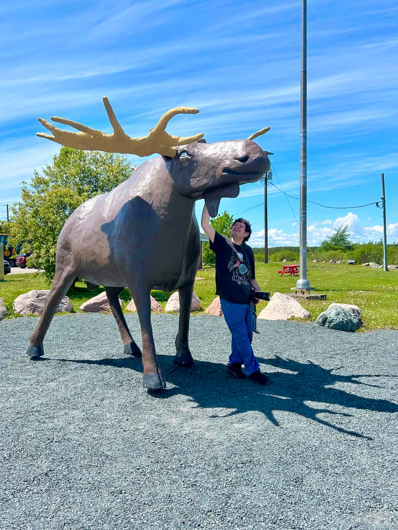 Ben is stood under a moose statue, looking up while holding his camera by his side